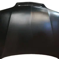 کاپوت زانتیا خام ، رنگی|قطعات یدکی و لوازم جانبی|اصفهان, بهارستان|دیوار