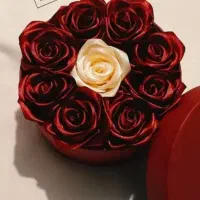 دکتر جراحی بینی