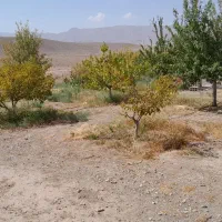 فروش باغ درجلفا روستای سیلگرد|فروش خانه و ویلا|جلفا, |دیوار