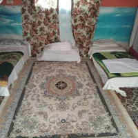 به همخونه نیازمندم