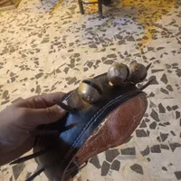 قلاده خاص