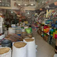 خرید وفروش قناری فنج عروس هلندی مرغ عشق|پرنده|شهرکرد, |دیوار