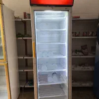 فریزر تک درب ایستاده اگور ترکیه اصلی