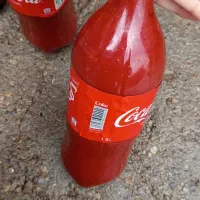 رب گوجه ی خانگی