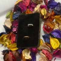 پرسینگ بینی