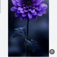 ۳۰۰ میلیون پول دارم چه کاری میشه کرد