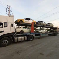 آردی اسقاطی و اوراقی
