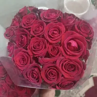 رز هلندی|گل مصنوعی|برازجان, |دیوار