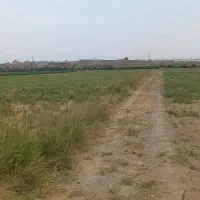 زمین کشاوزی (گلخانه) ۲ هکتاری متری ۲۵۰ هزارتومن|فروش زمین و ملک کلنگی|مشهد, رسالت|دیوار