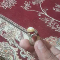 شرف شمس|جواهرات|زابل, |دیوار