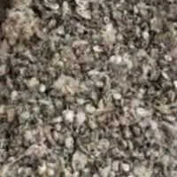 فضله کبوتر خانگی