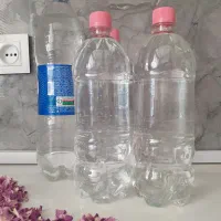 گلاب خانگی