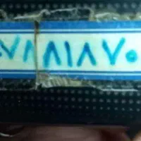 نهال بادام.دوساله.درجه یک