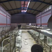 گاوداری و950راسی نیشابور|فروش دفتر صنعتی، کشاورزی، تجاری|نیشابور, ابراهیمی|دیوار