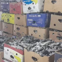 کارگر ساده در انبار ذغال