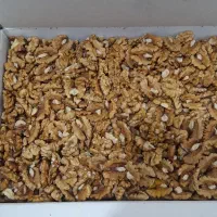 پخش گردو درجه یک