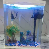 آکواریوم همراه بخاری،مهتابی،پمپ هوا