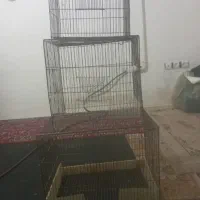 سه عدد قفس سالم و بدون عیب و ارزان