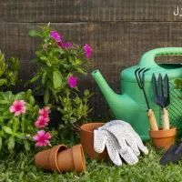 نظافت وشستشوی حیاط ،استخر،امورات باغچه وباغبانی