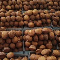 کیک فنجانی عمده