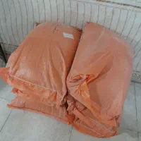 دان مرغ تخم گذار