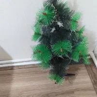 درخت کاج کریسمس