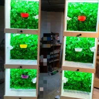 ترکیب قفس های پی وی سی و چوب طبیعی