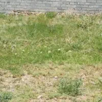 زمین-باغ-ده-حسن-رباط-کریم