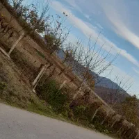 فروش زمین بحر اصلی|فروش زمین و ملک کلنگی|کیاسر, |دیوار