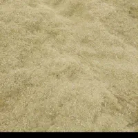 کاه لوبیا چیتی