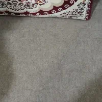 موکت،پشتی،سینگ رو کار پشتی|موکت|زاهدان, |دیوار