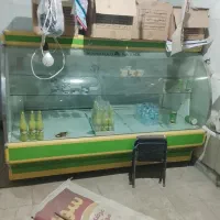 یخچال مغازه