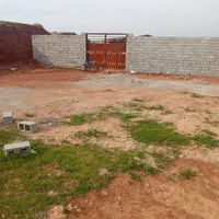 دامداری صنعتی شهیون سر جاده اصلی