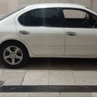 ماکسیما تمیز و مرتب بشرط