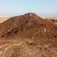 کود گاوی3ساله|خدمات باغبانی و درختکاری|گلبهار, شهر جدید گلبهار|دیوار