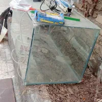 آکواریوم|ماهی|شیروان (خراسان), |دیوار