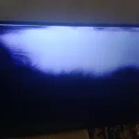 فروش تلوزیون 50 اسنوا