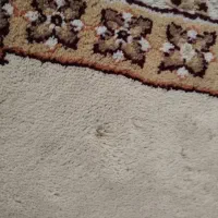 فرش ۱۲متری|فرش|رودسر, |دیوار