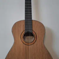 فروش گیتار آنتونیو g300