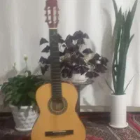 گیتار گود من