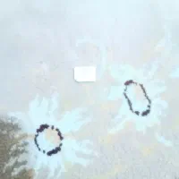 خط09125106249فروشی