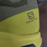 سالمون اصلی