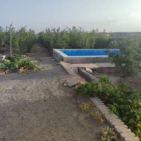 باغ اناری فروشی