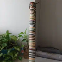 جا سیخی
