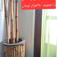 گل و گلدان مصنوعی|گل مصنوعی|اصفهان, عباس‌آباد|دیوار