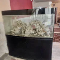 آکواریوم وارداتی