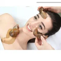 حلزون صورت|خزنده|اراک, |دیوار
