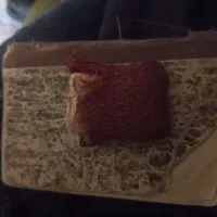 قران بند انگشتی چاپ سنگی