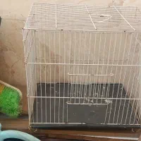 قفس|لوازم جانبی حیوانات|مشهد, میعاد (شهرک غرب)|دیوار