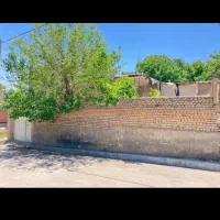 ملکیت-سند-تک-برگ
